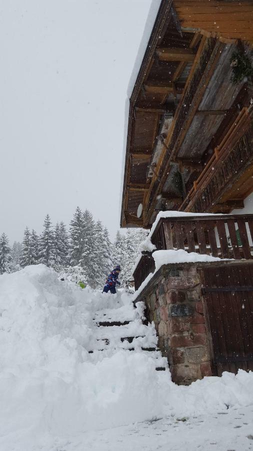 Oberseebachhof Scheffau am Wilden Kaiser Zewnętrze zdjęcie